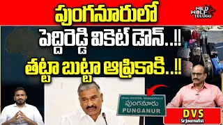 Peddireddy Ramachandra Reddy Will Defeat In Punganuru..?? | CM Jagan | YSRCP | Wild Wolf Telugu