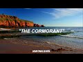 The Cormorant - Damon Albarn (Lyrics//Subtitulado al Español)