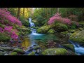 Peaceful Morning Relaxation Music for Stress Relief and Overthinking Release to Support Mental calm