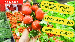 БОЛЬШАЯ ЗАКУПКА ПРОДУКТОВ В КАНАДЕ / СРАВНИВАЕМ ЦЕНЫ / СКИДКИ / ШОППИНГ / CANADA