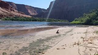 Kayaking the Colorado River at Lee's Ferry.
