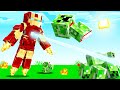 Minecraft..... When you Play as IRONMAN