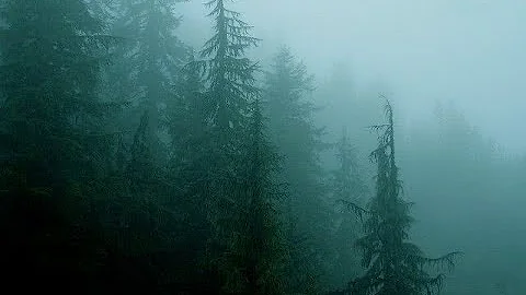 Evergreen - Richy Mitch & The Coal Miners | extended dreamy version loop