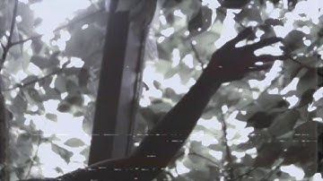 Regarding Ambiguity - "Let