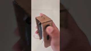 DIY Stun Gun.