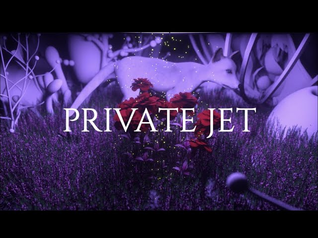 Watch Preethatrapper - Private Jet (Official Visual) on YouTube Watch Preethatrapper - Private Jet (Official Visual) on YouTube