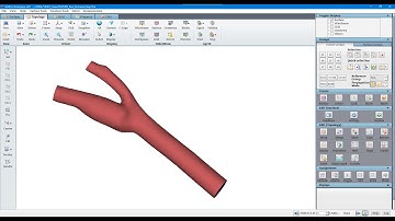 Face Exclusion Group