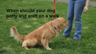 Famous Taking Potty Breaks on Structured Walks Wealth