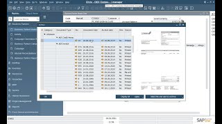 Digital Archive for SAP Business One - cks.DMS