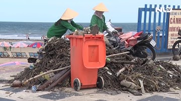 Cận cảnh bãi biển Vũng Tàu bị cả trăm tấn rác vây kín! | NLĐTV
