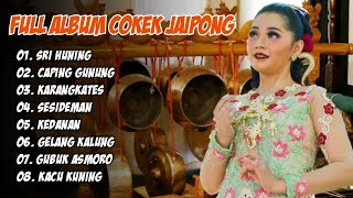 Langgam Campursari 'SRI HUNING' Full Album Cokek Jaipong Bass Glerr Gayeng