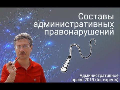 Видео: Относится ли ответ вышестоящего лица к умышленным правонарушениям?