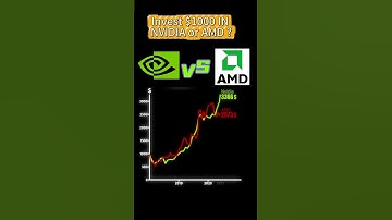Invest $1000 IN NVIDIA or AMD ?#nvidia #amd #finance #invest #AI #STOCKS #BUSINESS