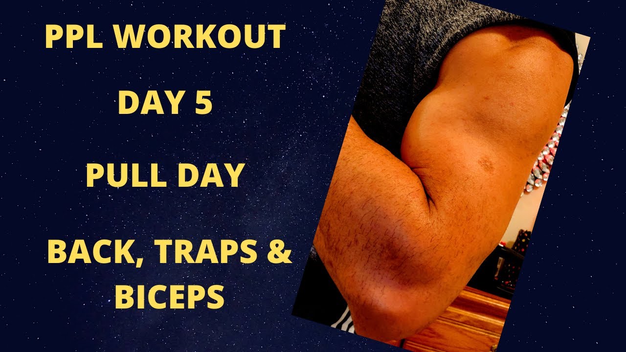 MOST EFFECTIVE PPL WORKOUT(DAY5) PULL DAY MEN & WOMEN(2020) YouTube