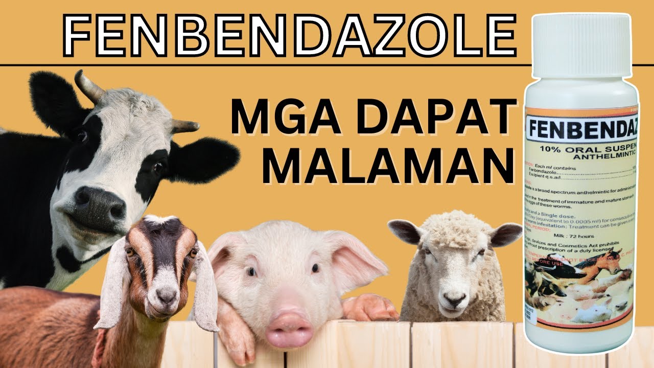 FENBENDAZOLE: Mga Dapat Malaman