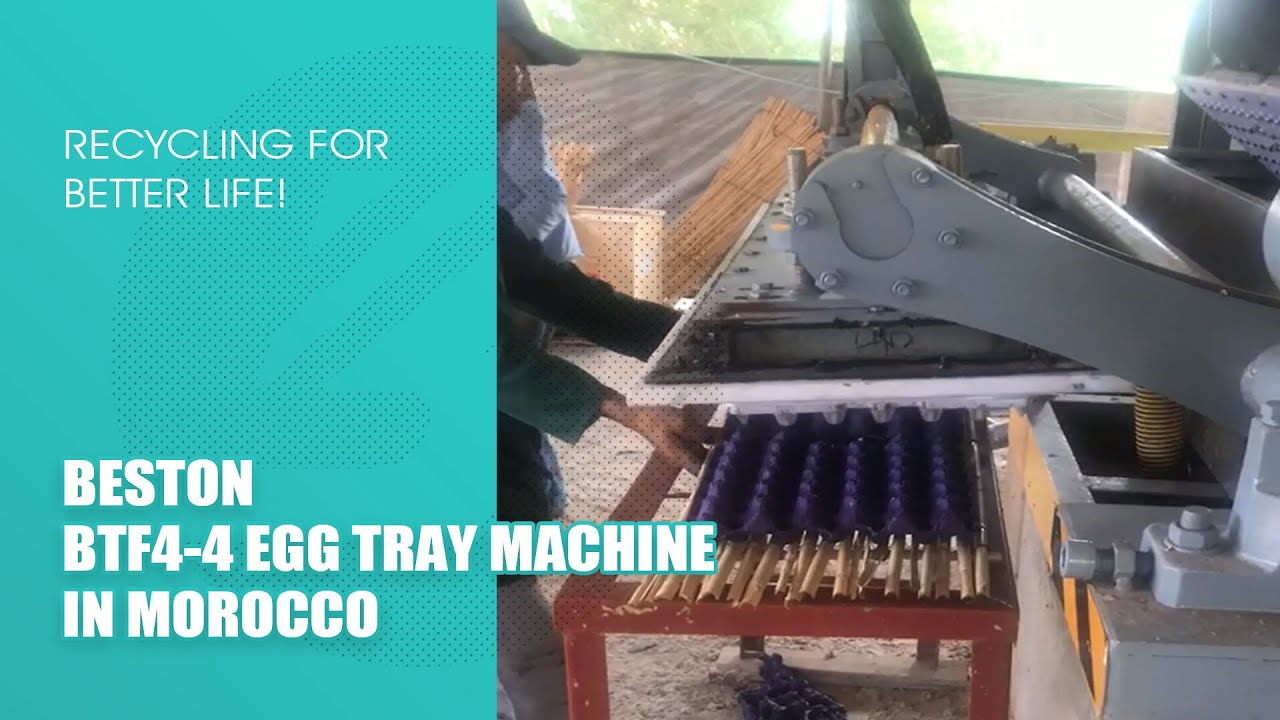 Making Egg Trays from Waste Paper in Morocco