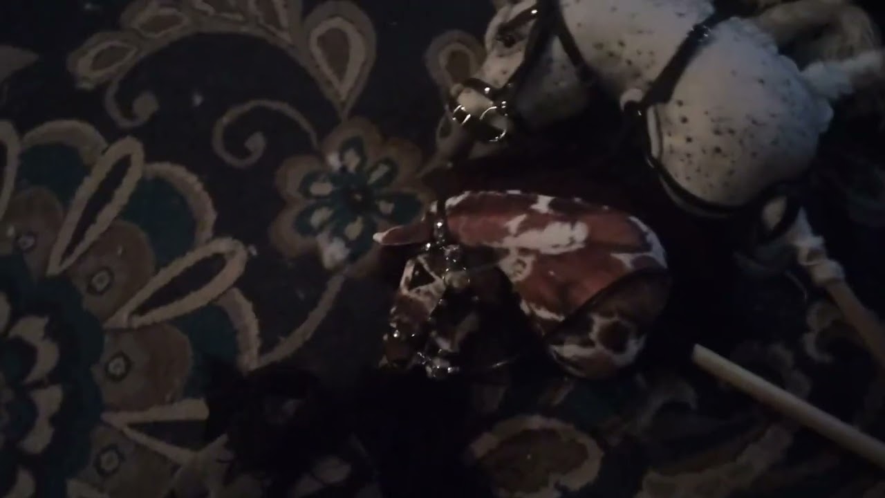 First hobby horse video🐴🐴🐴🐴🐴🐴🐴🐴🐴