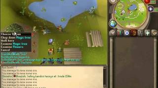 New Rune Private Server