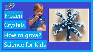 Snoeflake - Frozen | Elsa's Crystals | Can you grow crystals with table salt?
