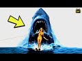 Jaws 1975 20 Shocking Facts That Ll Blow Your Mind