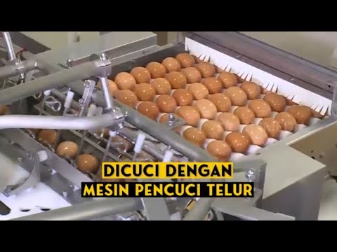 Video: Mengapa saya memerlukan akun saat ini untuk IP? Pembayaran tanpa uang tunai untuk IP. Di mana tempat terbaik untuk membuka akun bisnis?