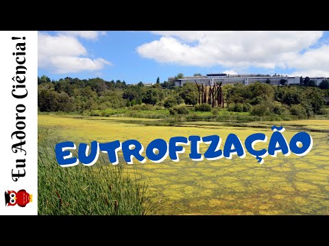 Eutrofização: Causas e consequências