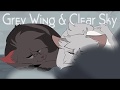 Warrior Cats- Let Go Intro