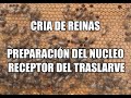 CRÍA DE REINAS (1A PARTE):  PREPARACIÓN DEL NÚCLEO RECEPTOR DE TRASLARVE,  EN AGROINDUSTRIA LA MIEL