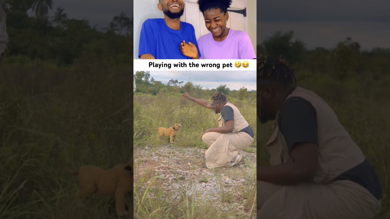 When you play with the wrong pet 🤣😂 #funny #comedy #fyf #couple