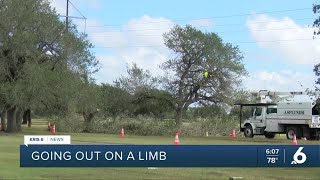 Trees in jeopardy at Sinton Municipal Golf Course