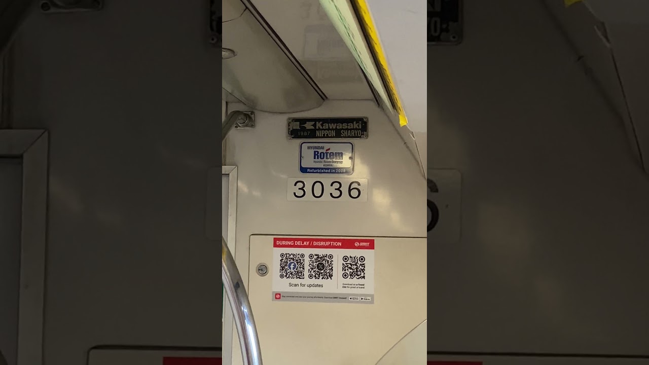 New Train Delay/Disruption Information Decal