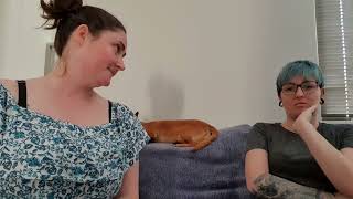 Task 2.A Support worker- Melissa Disability client Video 1