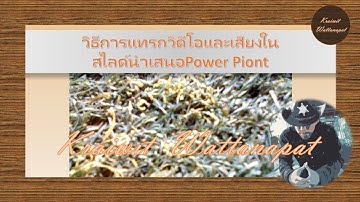 EP.11ไอเดียการแทรกวิดีโอและเสียงในสไลด์power pointในงานนำเสนอ by #kraiwit #powerpoint