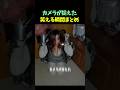 カメラが捉えた笑える瞬間まとめ