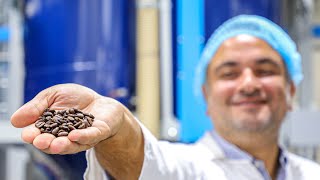 The Coffee Factory: How It’s Made. Blending and Roasting (Espresso and Lebanese Coffee)