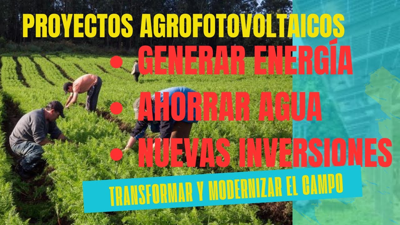 Generar energía en el campo para detonar nuevos negocios