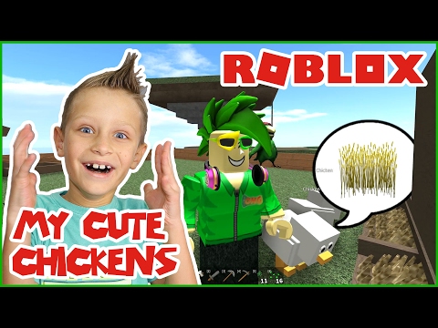 My Cute Chickens are Eating Wheat! / Roblox Skyblock 2