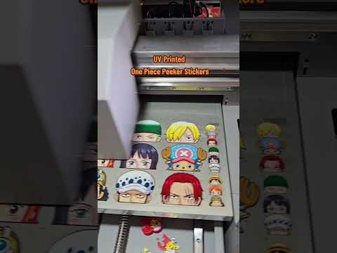 UV Printed One Piece Peeker Stickers