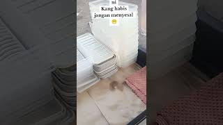 Download Lagu macam\ MP3