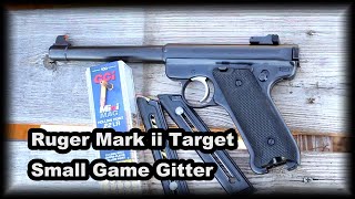 Ruger Mark ii Target Small Game Gitter