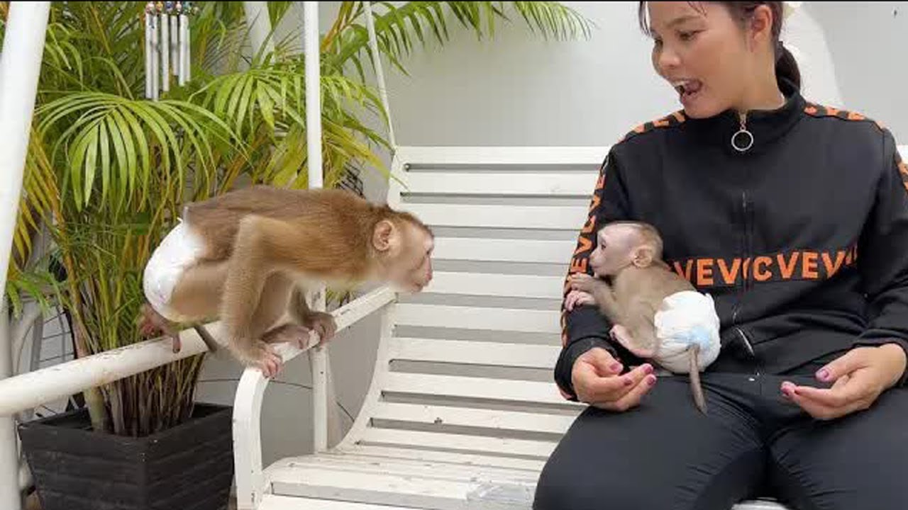 Most Attractive SARA Lip Talk Very Gentle Tauch Get Out Mom Play With Her