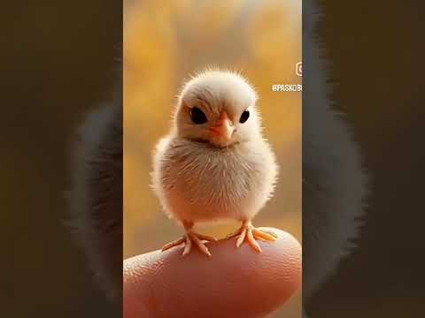 ٢٠ سبتمبر ٢٠٢٥