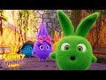 SUNNY BUNNIES - Big Surprise | Season 2 | Cartoons for Children