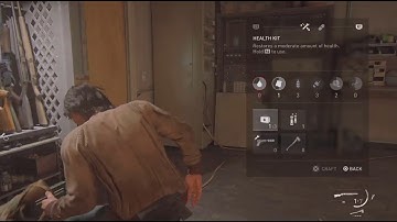 The Last of Us Part II Remastered no return custom run hard jesse