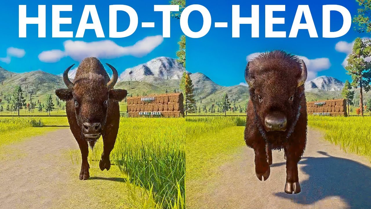 American vs European Bison A Head to Head Speed Race in Planet Zoo