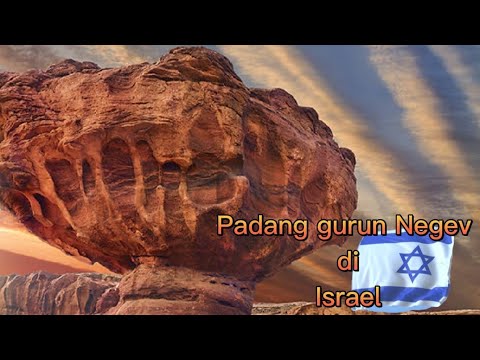 Video: Berbunga gurun Negev di Israel
