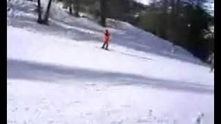 VARS 2010