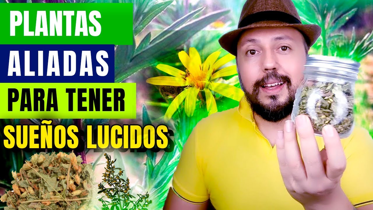 sueños lucidos | Tres plantas aliadas para tener sueños lúcidos