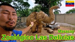 Así es Zoológico Las Delicias en Maracay Estado Aragua Venezuela | ベネズエラ アラグア州 マラカイにある動物園
