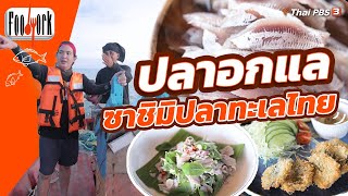 ปลาอกแล ซาชิมิปลาทะเลไทย ของดีเมืองเพชร | Foodwork